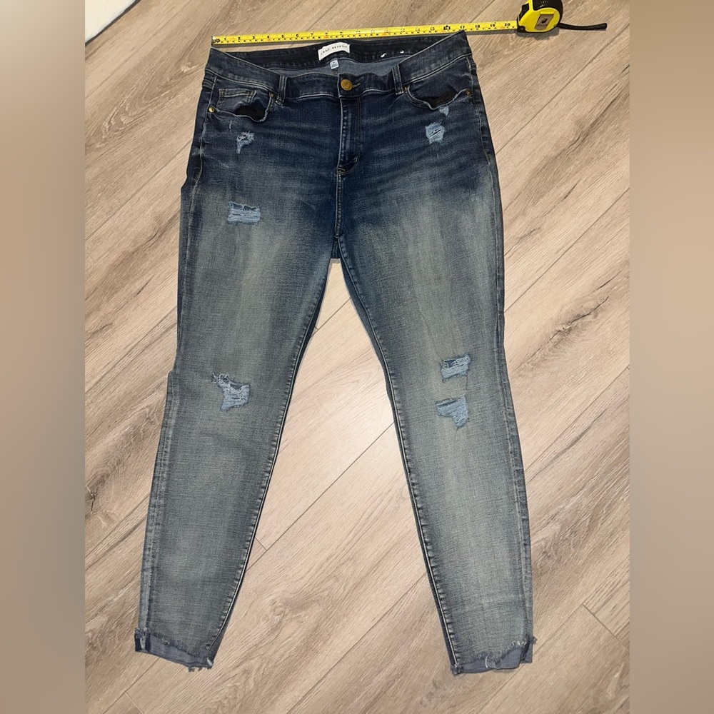 Lane Bryant Jeggings 1